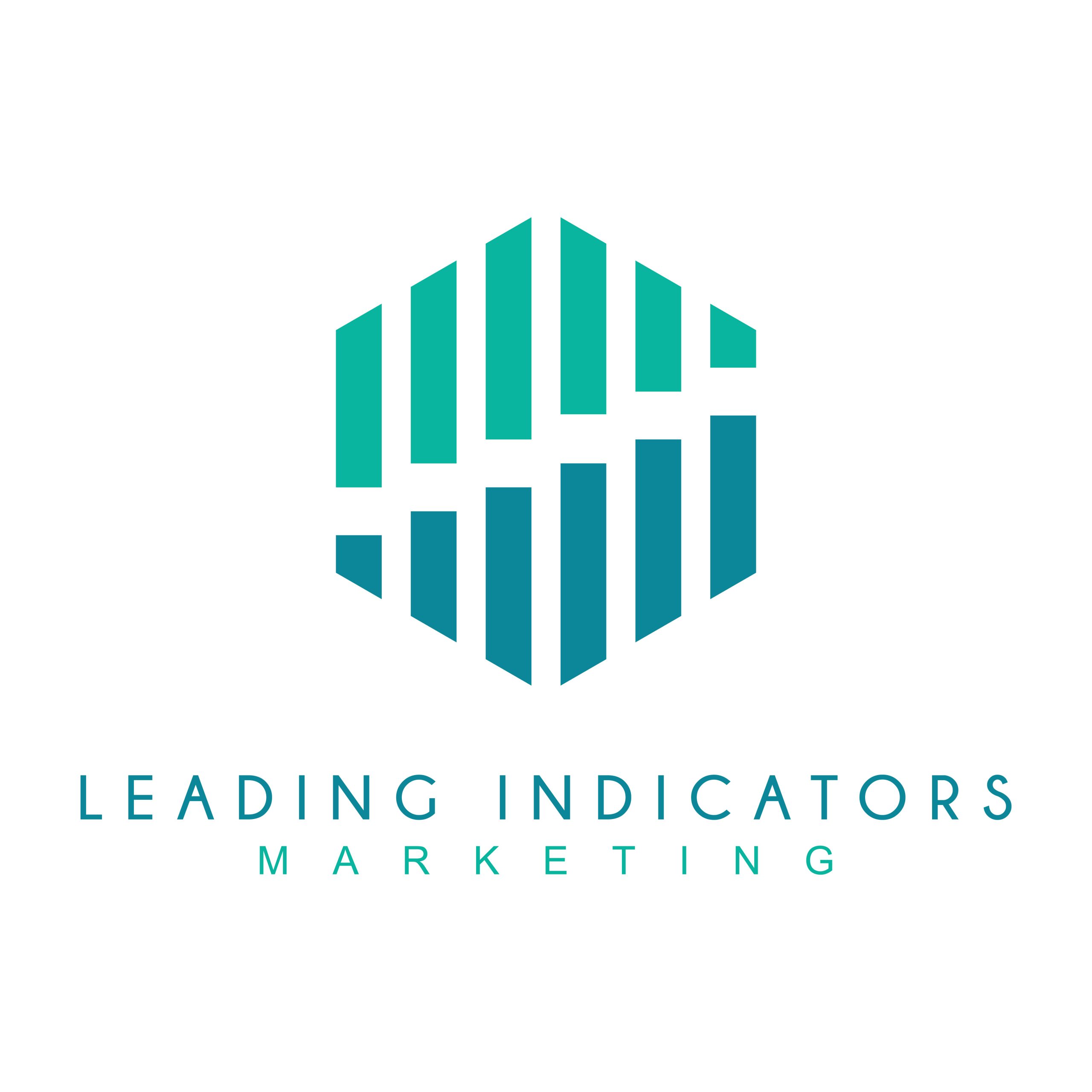 Leading Indicators Marketing